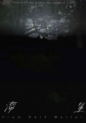 From Dark Matters