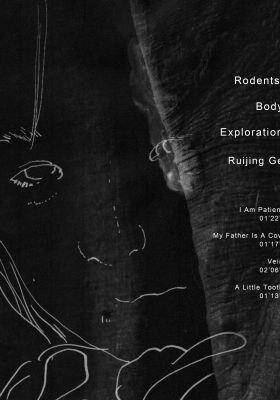 Rodents’ Body Exploration