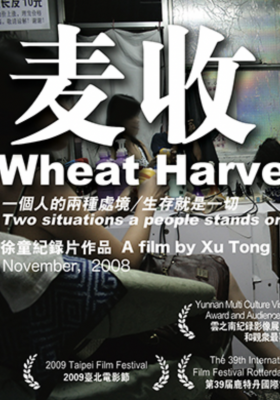 Wheat Harvest