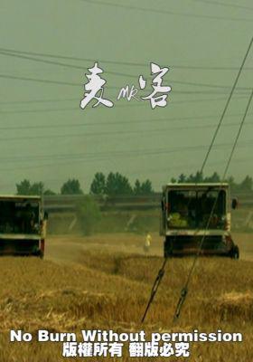 Wheat Passenger